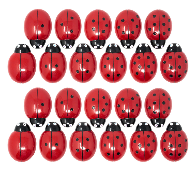0-10 Tactile Ladybugs Stones Set/22