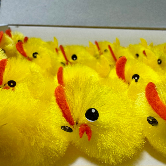 Free Gift w/ $50+ Purchase: Mini Chicks Set of 24