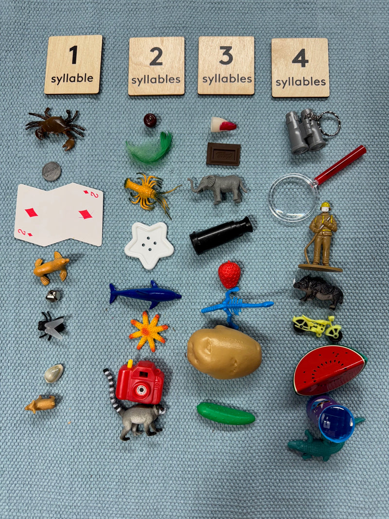 Bag Full of Objects: Syllable Count with Wooden Labels