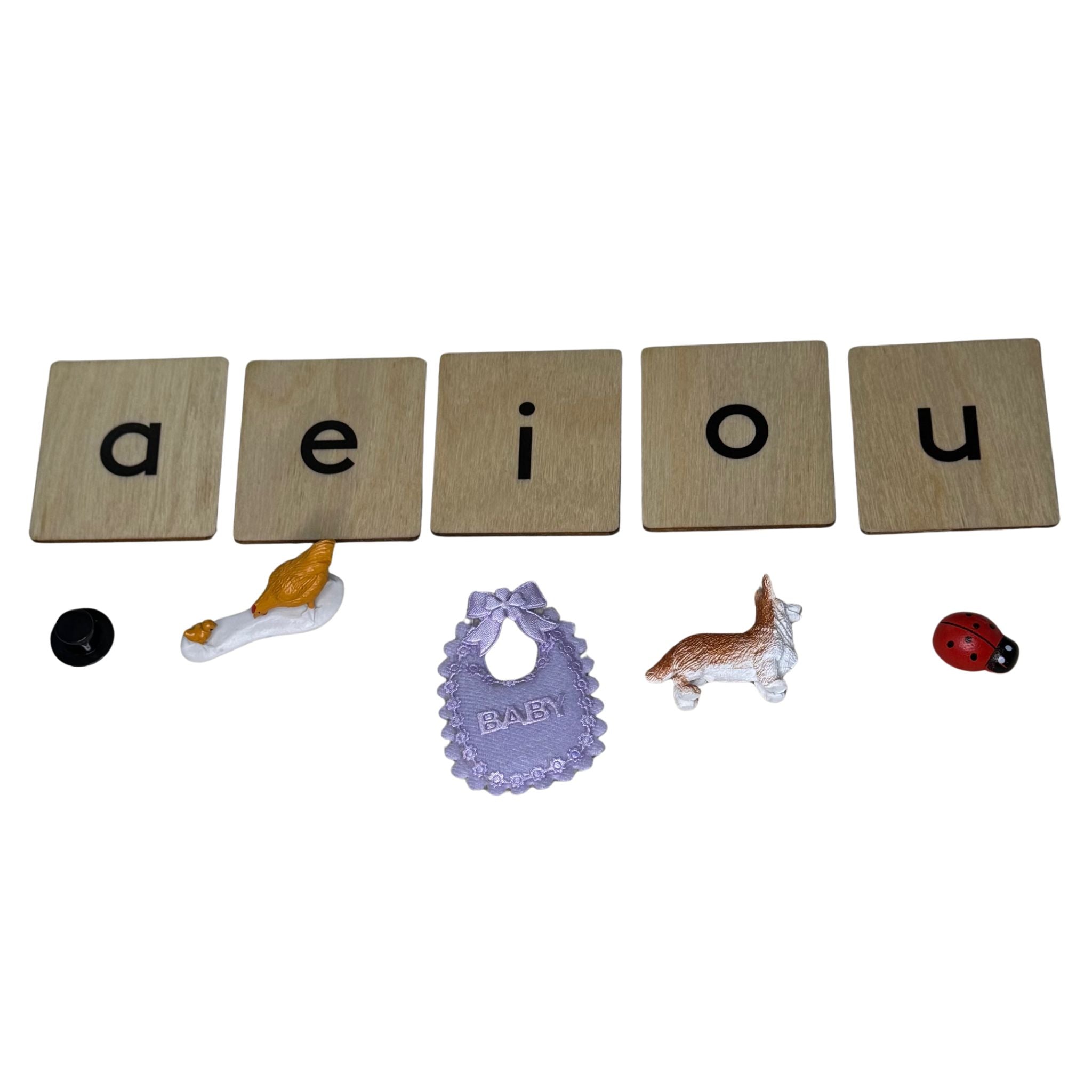 Wooden Language Labels (Vowels, Blends, Digraphs)