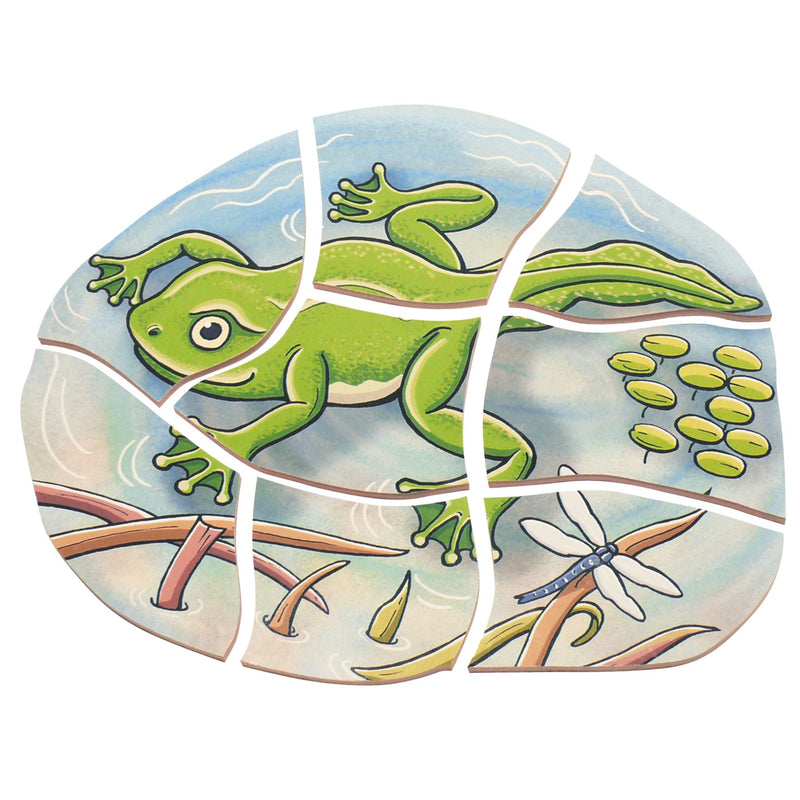 Multi-Layer Nesting Wood Puzzle: Egg to Frog 5-Layer