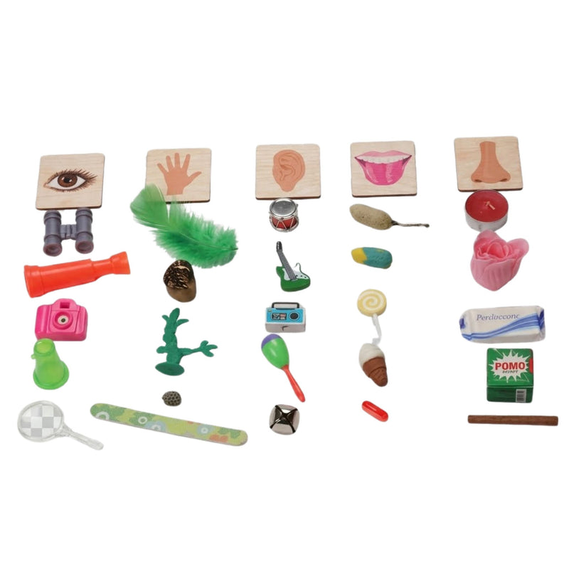 Sensory Classification: 5 Senses Objects & Wood Sorting Labels Kit