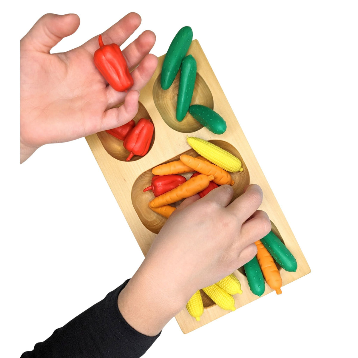 Sorting: Veggie 4-Compartment Kit