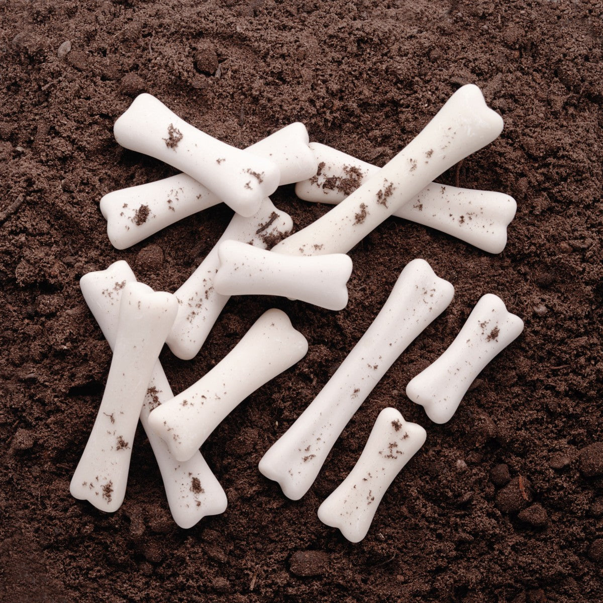 Dinosaur Match and Measure Bones with Activity Cards