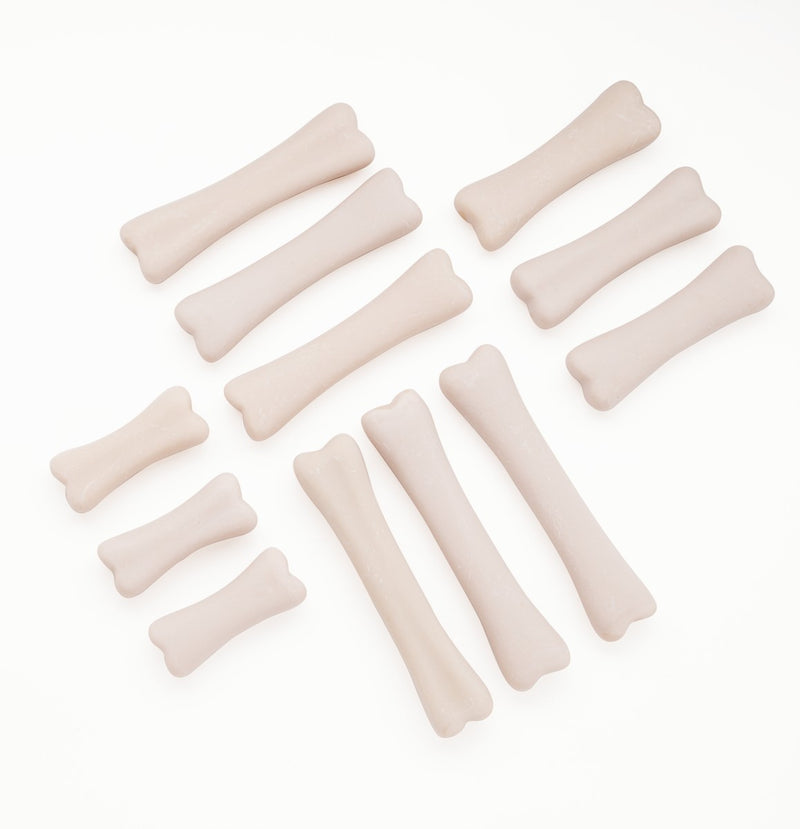 Dinosaur Match and Measure Bones with Activity Cards