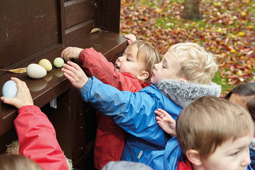 Eggs and Size-Sorting