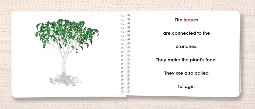 Botany "Parts of" Book Bundle by Maitri