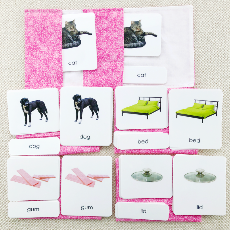 Phonetic Level 1 Set: Simplest Phonetic Words by Maitri