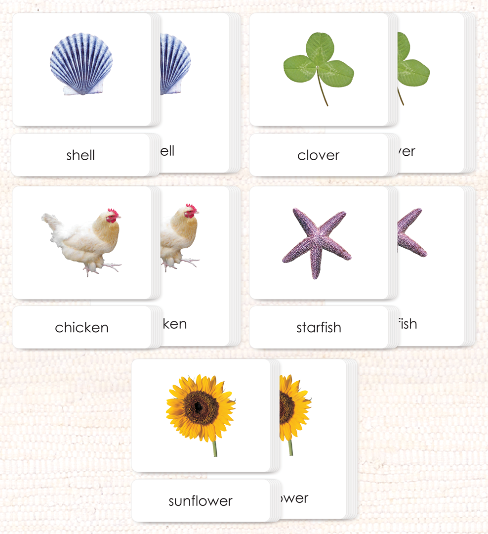 Phonetic Reading Card Set (Complete) by Maitri