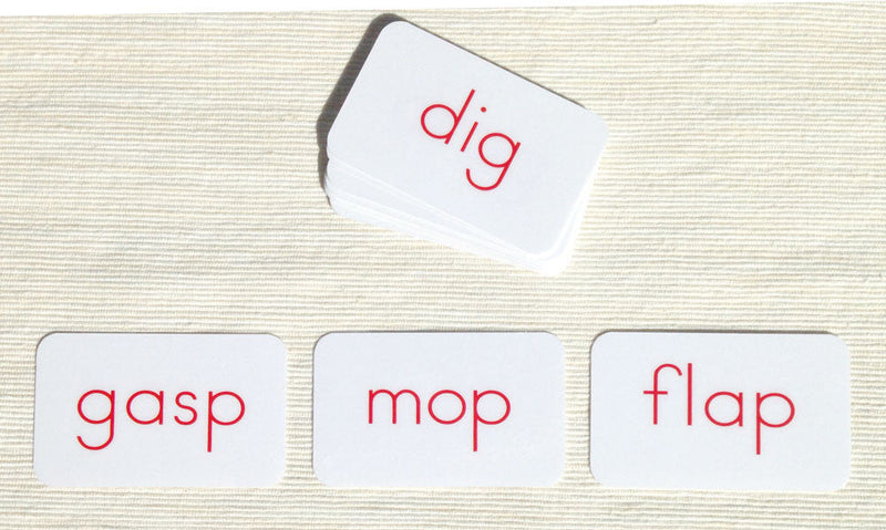 Phonetic Activity Cards by Maitri