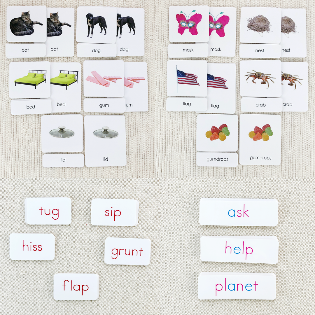 Phonetic Decoding Kit: PreK-2 by Maitri