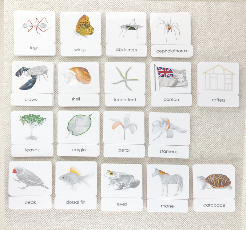 Parts of 3-Part Card Bundles by Maitri