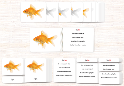Vertebrates "Parts of" Book & Card Bundle by Maitri