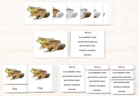Vertebrates "Parts of" Book & Card Bundle by Maitri