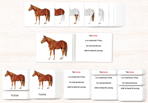 Vertebrates "Parts of" Book & Card Bundle by Maitri