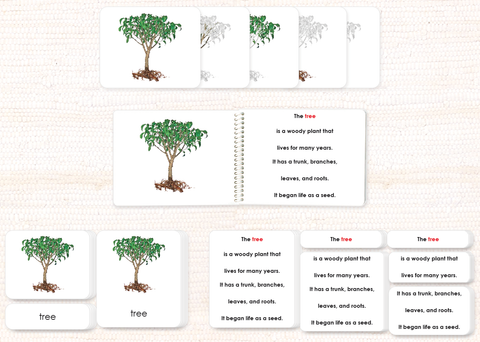 "Parts of" Botany Bundle by Maitri