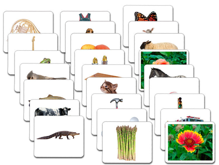 Basic Vocabulary Card Set/26 by Maitri