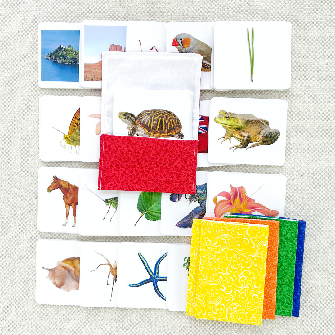 Advanced Vocabulary Card Set/20 by Maitri