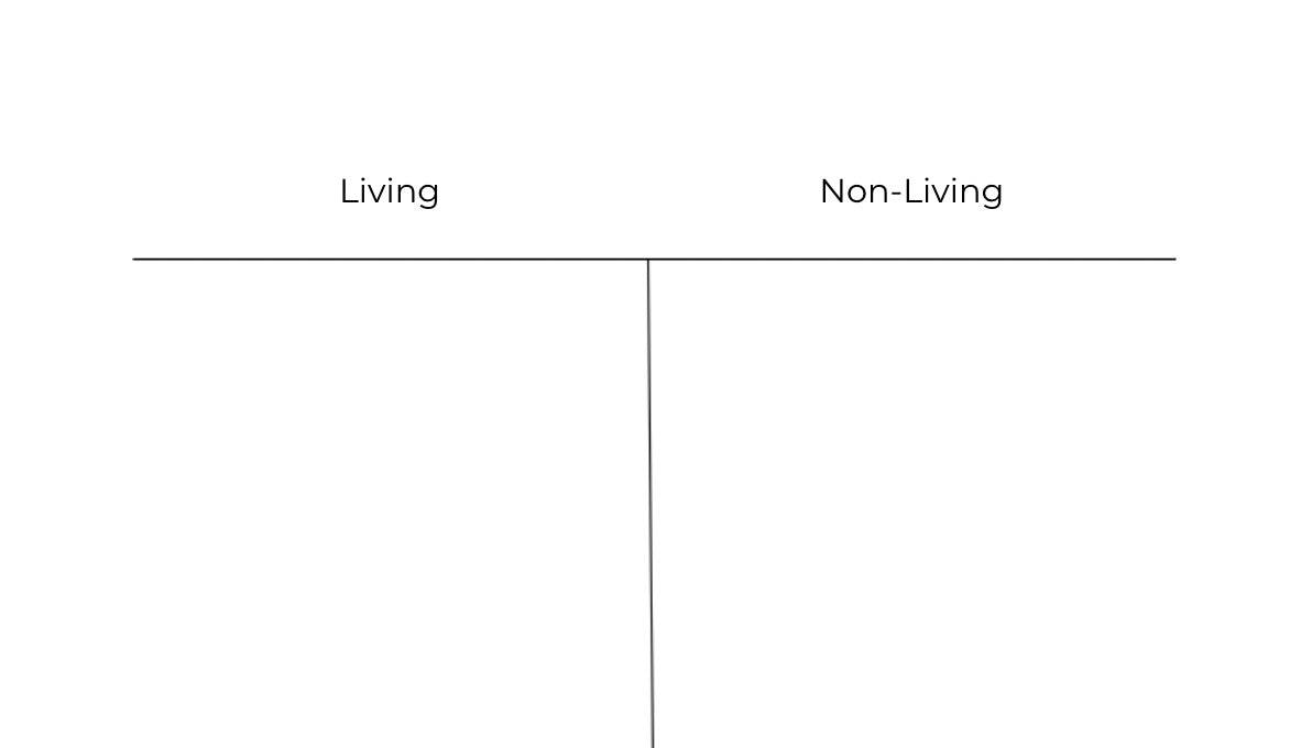 Science T- Chart