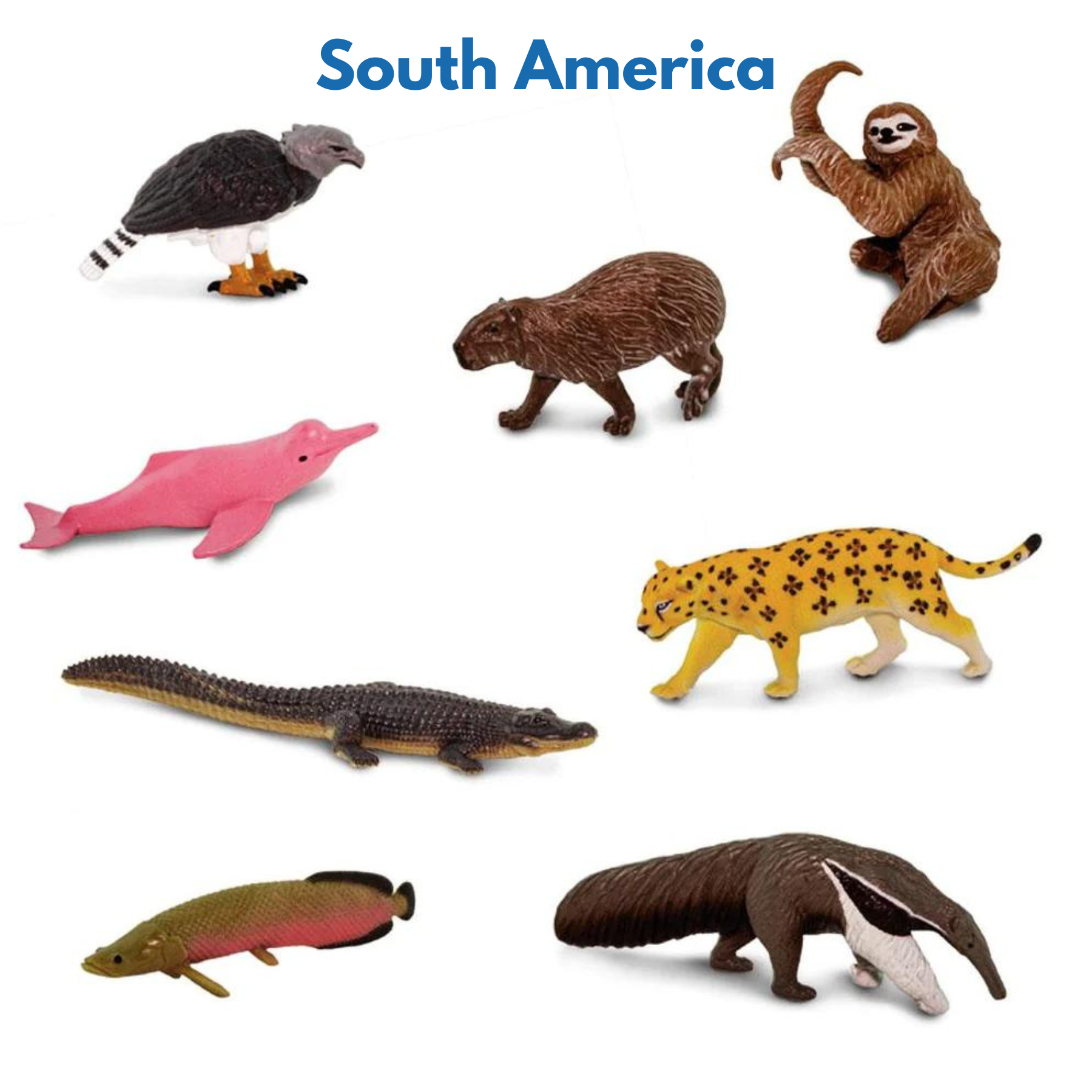Continent Animal Miniatures: All 8 Sets (Includes Antarctica, Polar/Arctic)
