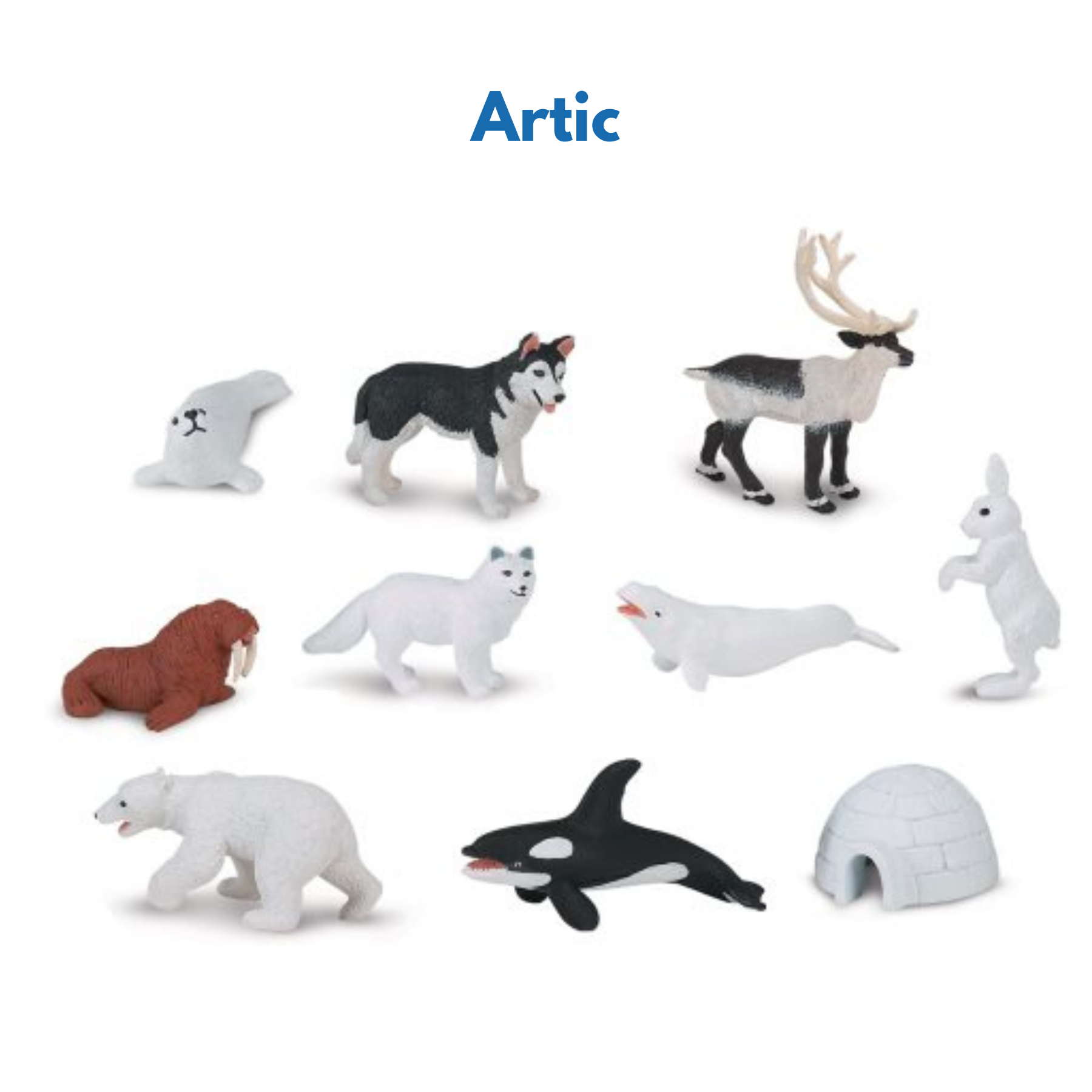 Continent Animal Miniatures: All 8 Sets (Includes Antarctica, Polar/Arctic)