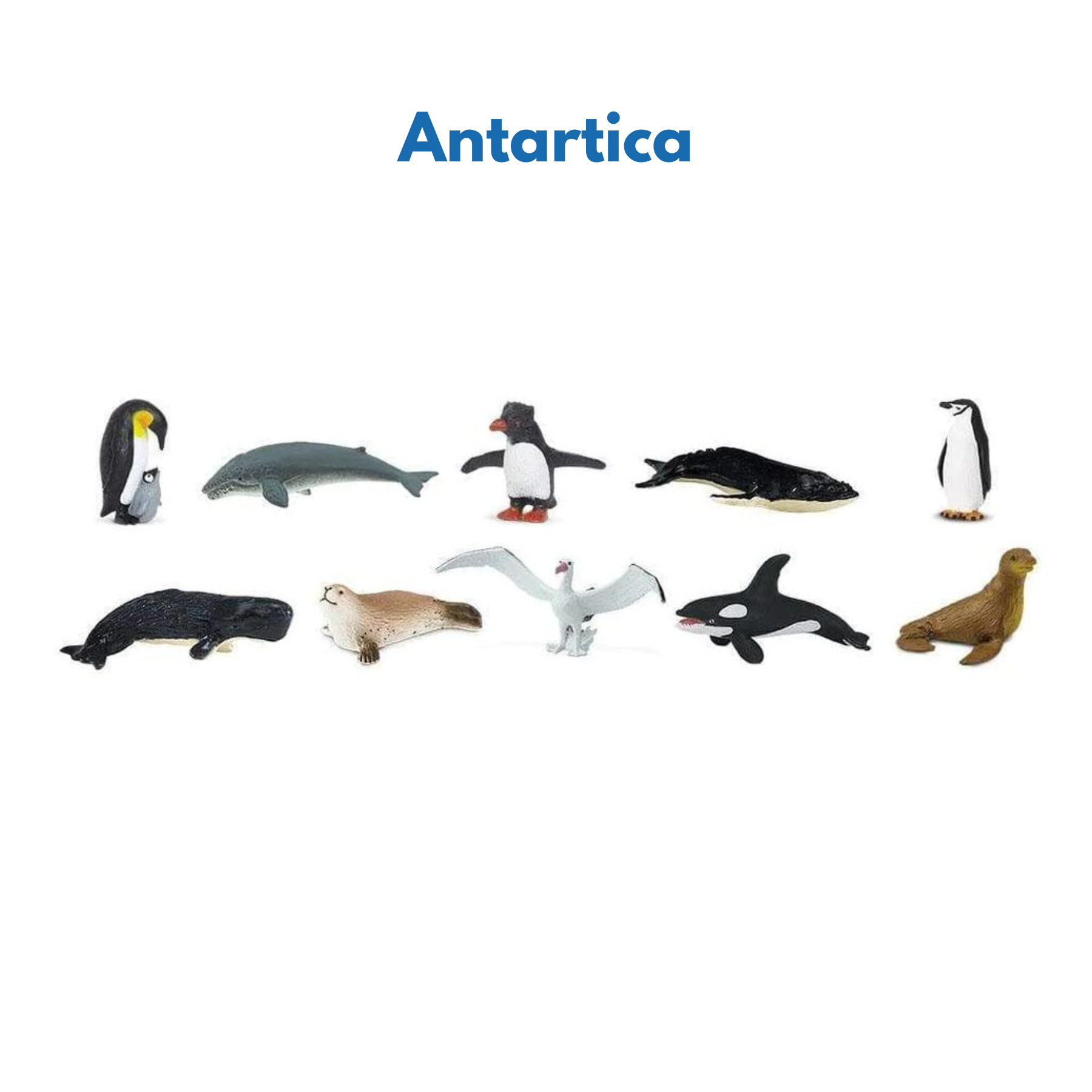 Continent Animal Miniatures: All 8 Sets (Includes Antarctica, Polar/Arctic)