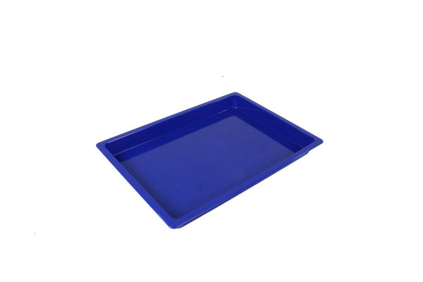 Tray: Blue Medium Sized Plastic Tray