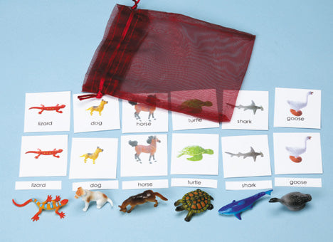 Classification Science: Vertebrates 3-Part Cards with Objects