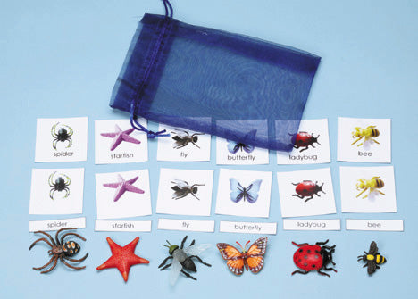 Classification Science: Invertebrates 3-Part Cards With Objects
