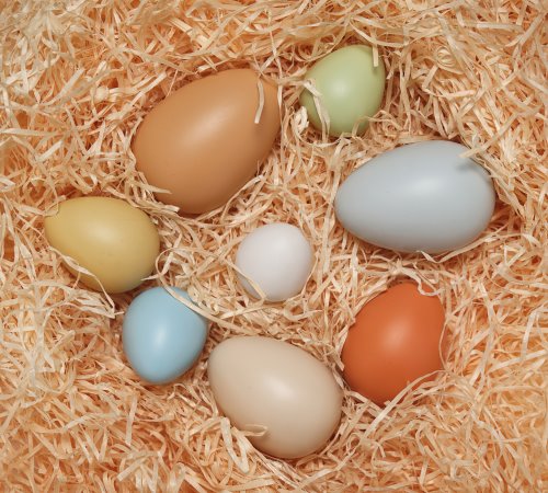 Eggs and Size-Sorting