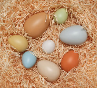 Eggs and Size-Sorting 