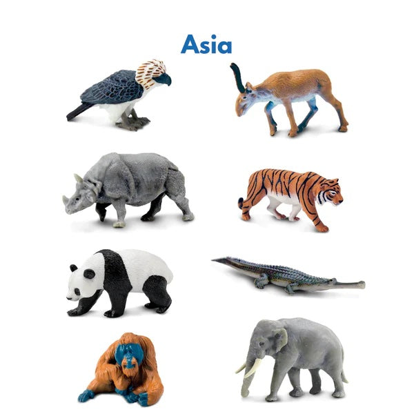 Continent Animal Miniatures: Asian Replicas