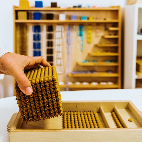 From Beads to Brilliance: Exploring Montessori Mathematics