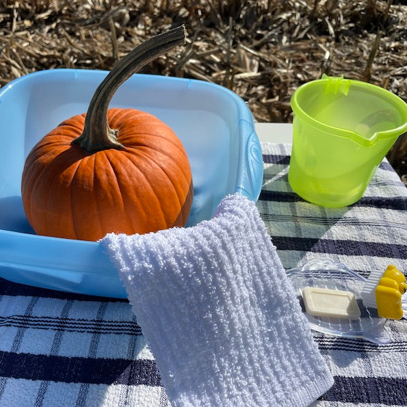 It's Pumpkin Time; Classroom activities using a pumpkin