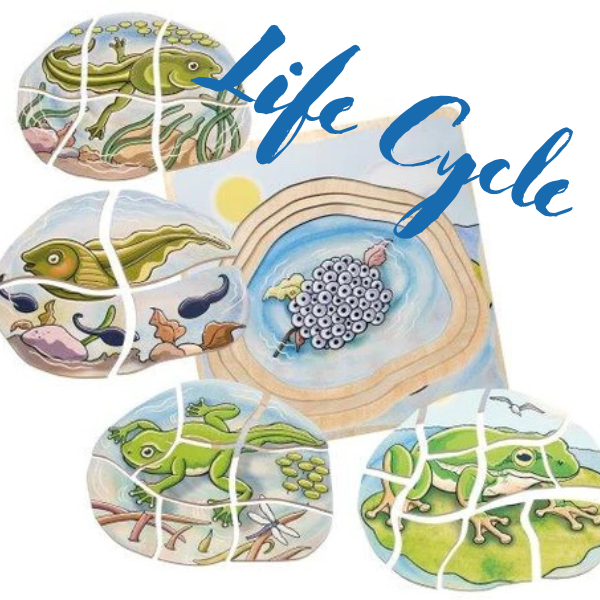 New Lifecycle Works Have Arrived!