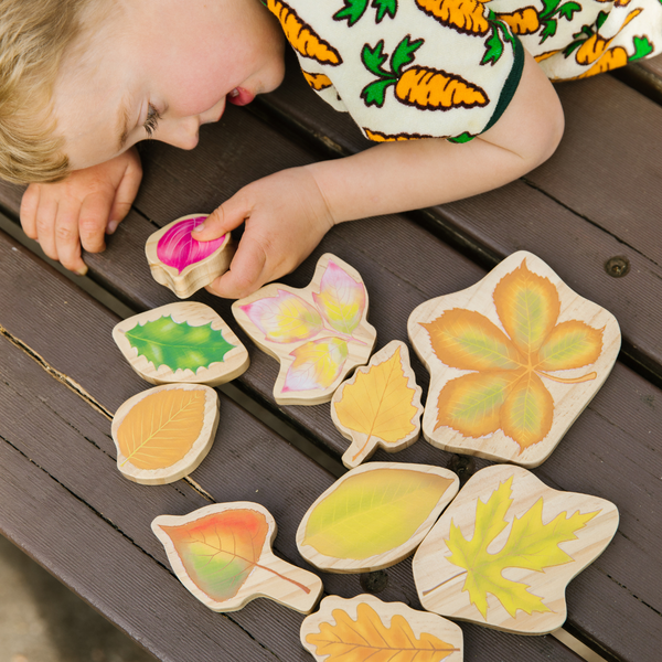 Leaf by Leaf: Learning Through Autumn Exploration