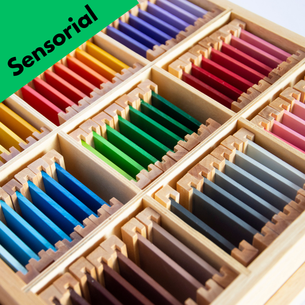 Tuning into Learning: The Power of Sensorial Play