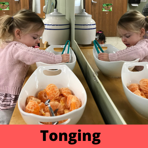 Practical Life; Using Tongs