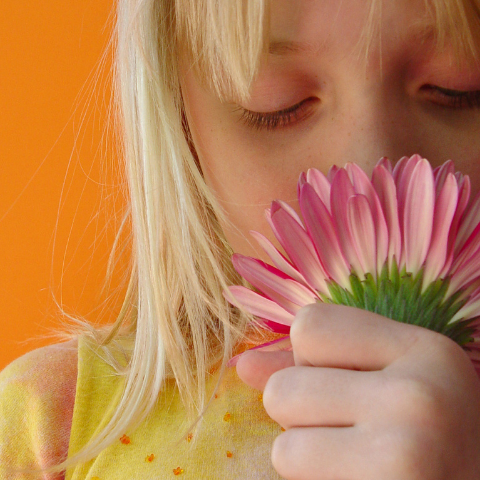 Olfactory Sense; The Sense of Smell