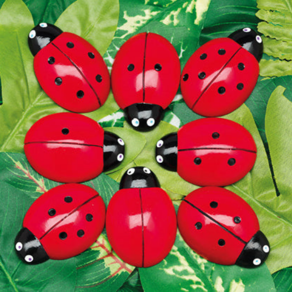 Spring Is In The Air!