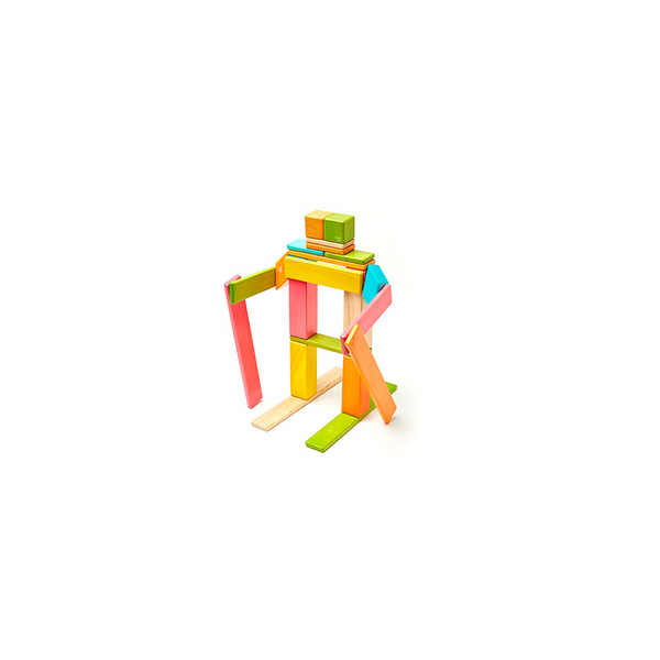 24-Piece Set Magnetic Wooden Blocks