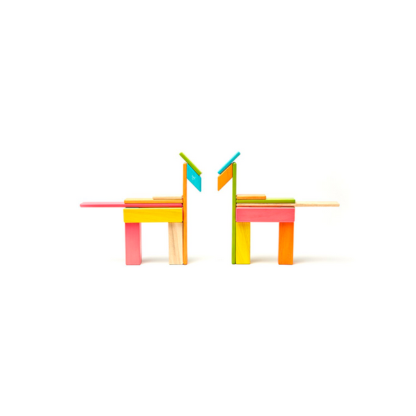 24-Piece Set Magnetic Wooden Blocks