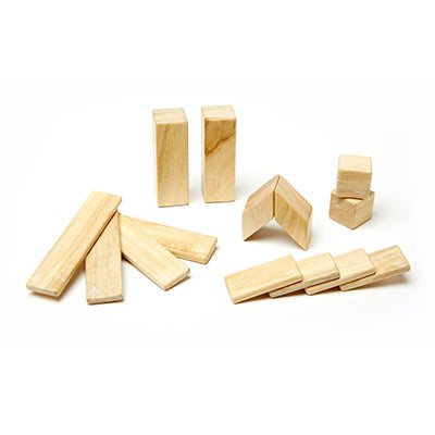 Magnetic Wooden Blocks 14-Piece Set