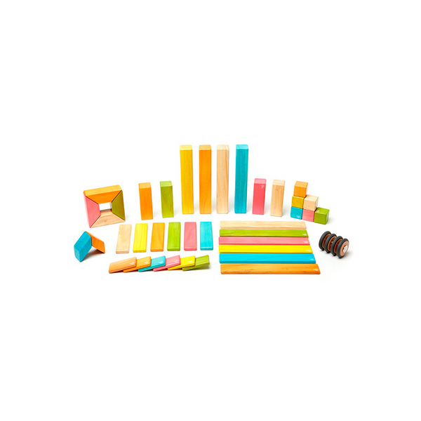 42-Piece Set Magnetic Wooden Blocks