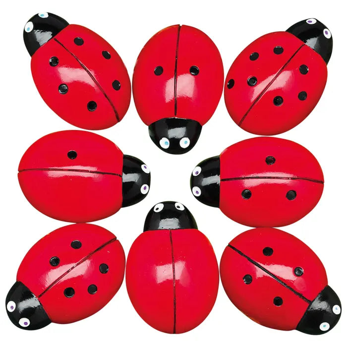 0-10 Tactile Ladybugs Stones Set/22