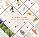 Common Nouns 3-Part Card Bundles by Maitri