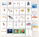 Common Nouns 3-Part Card Bundles by Maitri
