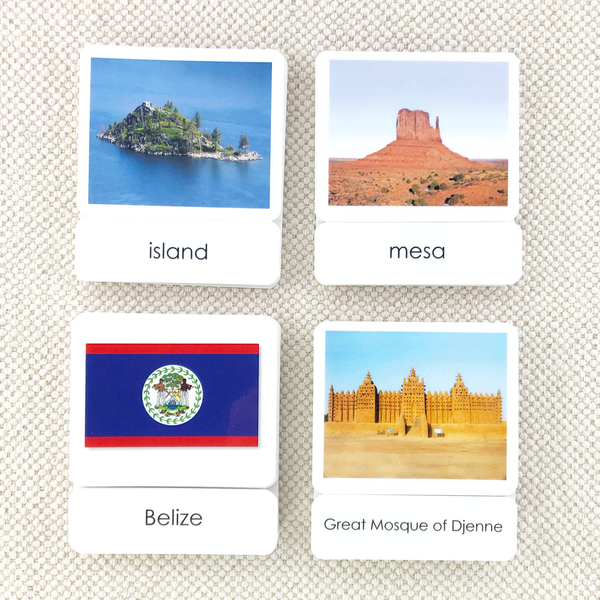 Common Nouns 3-Part Card Bundles by Maitri
