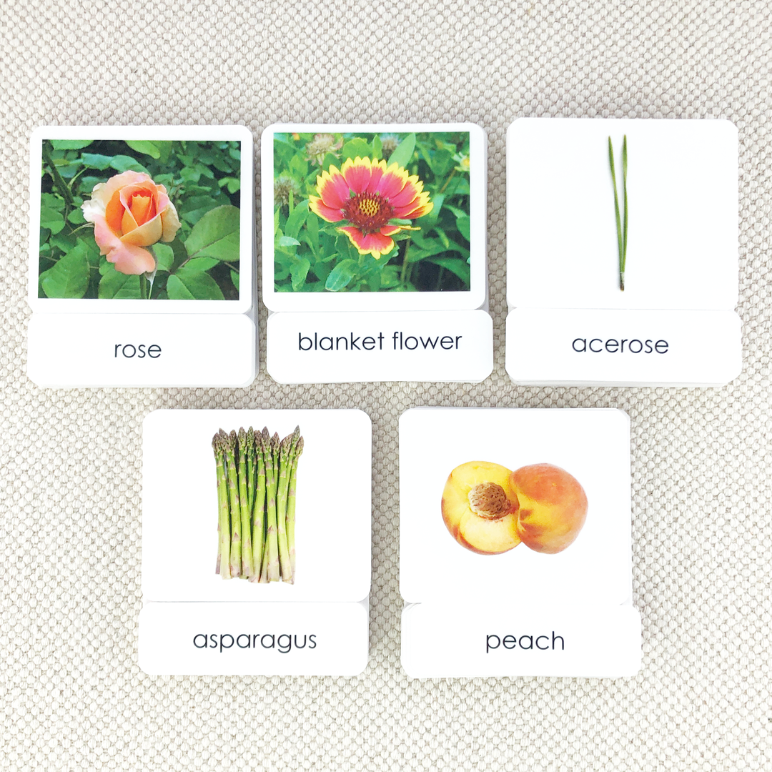 Common Nouns 3-Part Card Bundles by Maitri