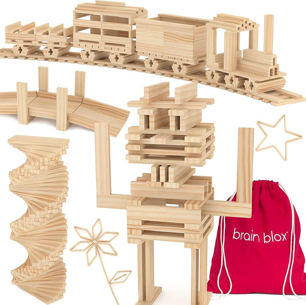 Building Blocks: Brain Blox Building Planks - 300 Pieces